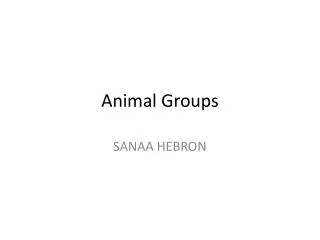 animal groups