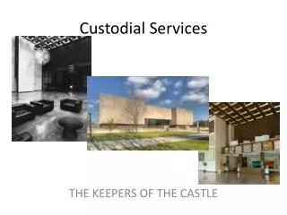 Custodial Services