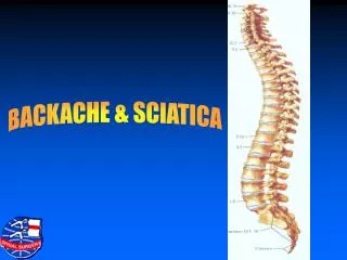 BACKACHE &amp; SCIATICA