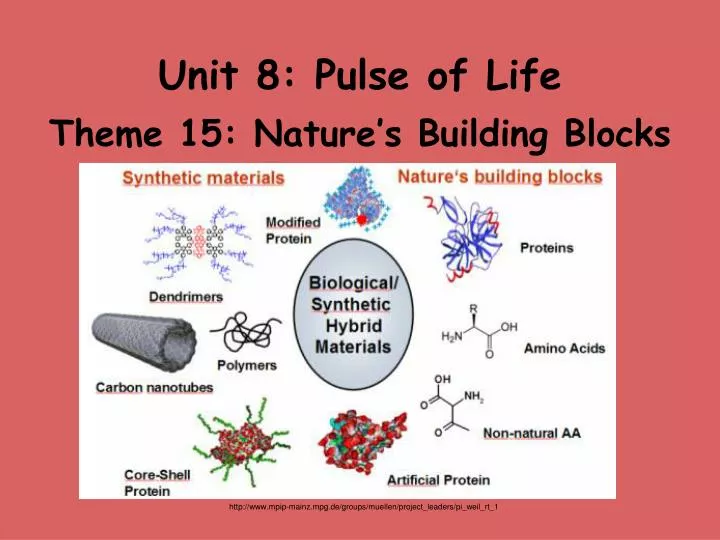 unit 8 pulse of life