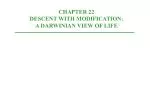 CHAPTER 22 DESCENT WITH MODIFICATION: A DARWINIAN VIEW OF LIFE - slide 1