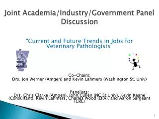 Joint Academia/Industry/Government Panel Discussion