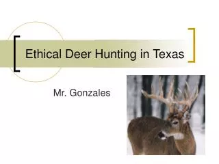 Ethical Deer Hunting in Texas