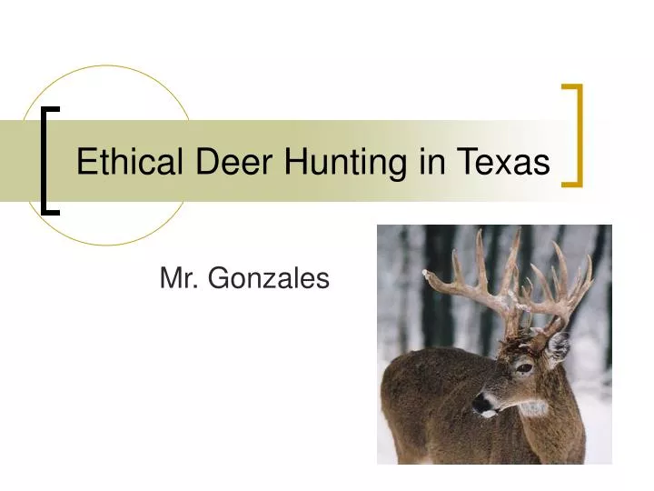 ethical deer hunting in texas