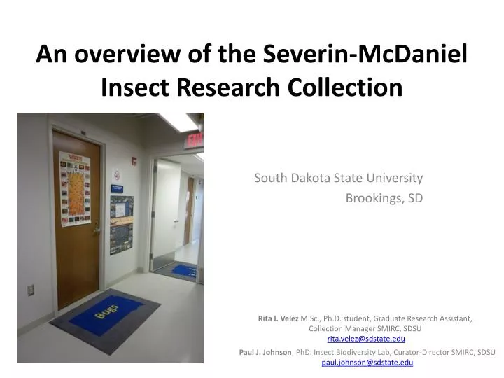 an overview of the severin mcdaniel insect research collection
