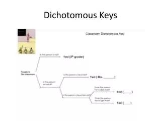Dichotomous Keys