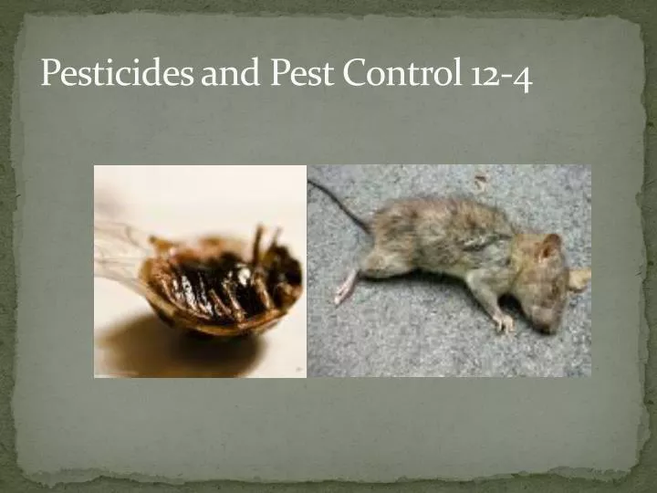 pesticides and pest control 12 4