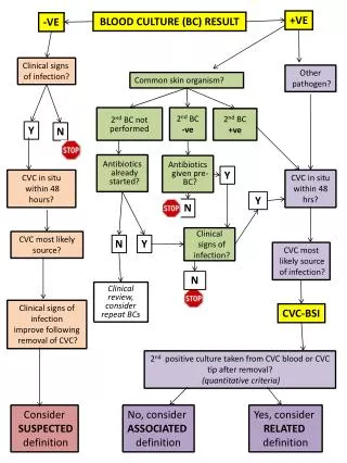 BLOOD CULTURE (BC) RESULT