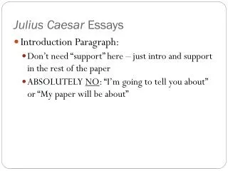 Julius Caesar Essays