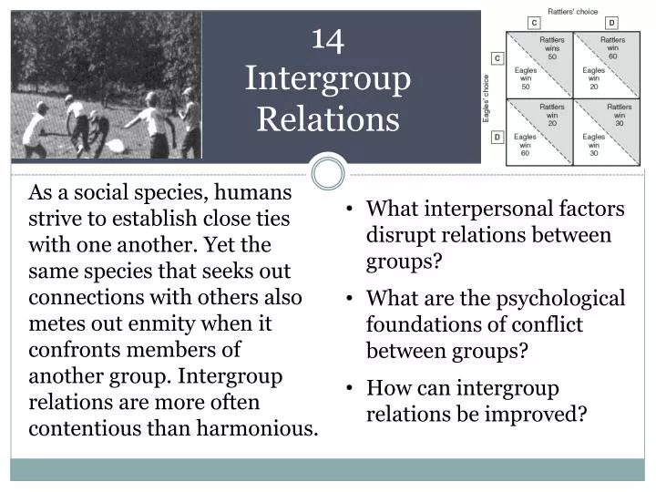 14 intergroup relations