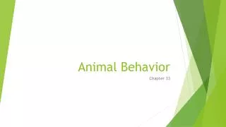 Animal Behavior