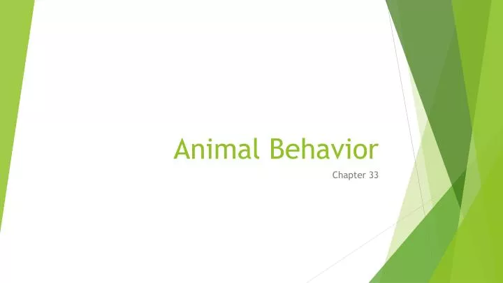 animal behavior