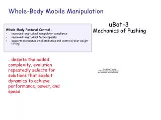 Whole-Body Mobile Manipulation