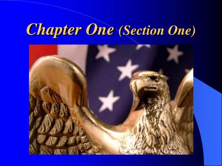 chapter one section one