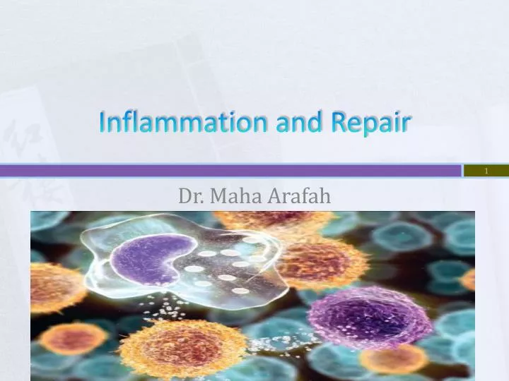 inflammation and repair