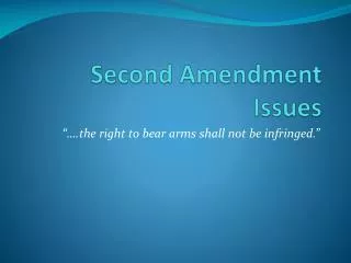 Second Amendment Issues
