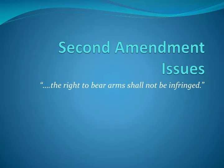 second amendment issues