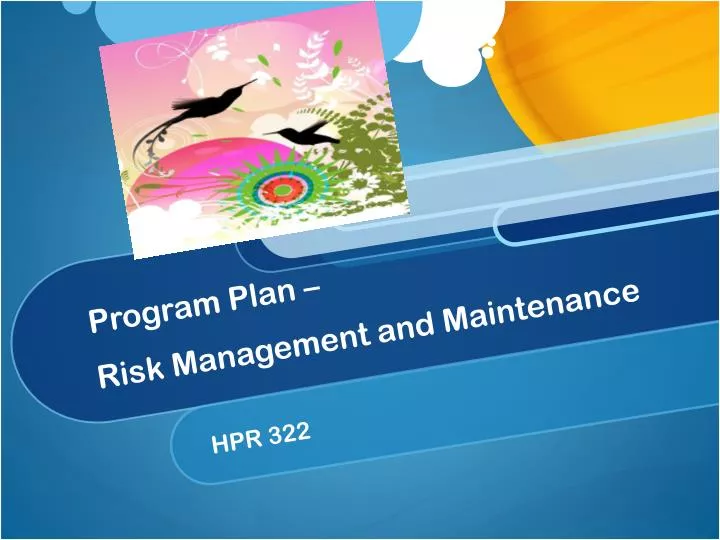 program plan risk management and maintenance