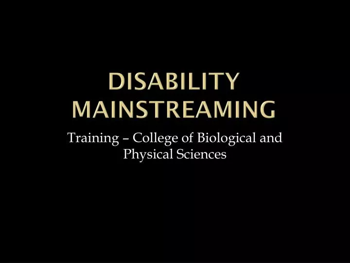 disability mainstreaming