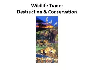 Wildlife Trade: Destruction &amp; Conservation