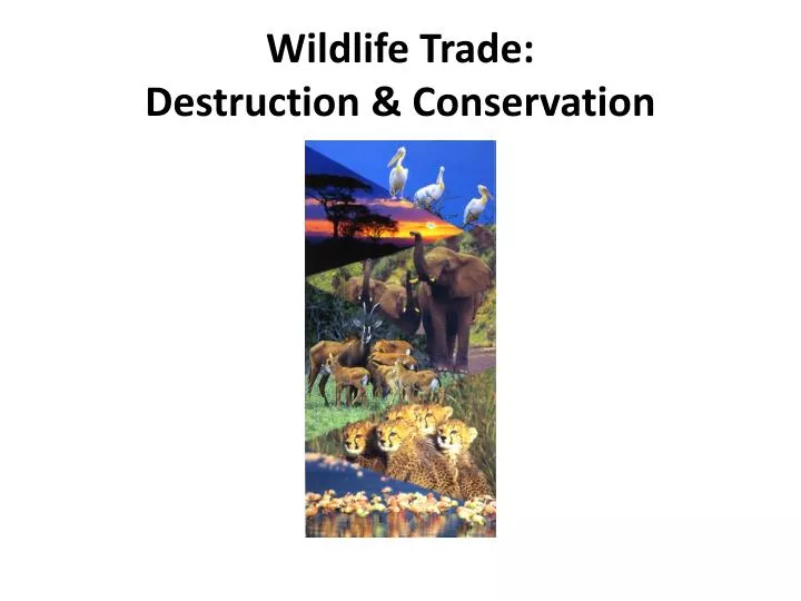 wildlife trade destruction conservation