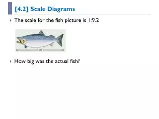 [4.2] Scale Diagrams