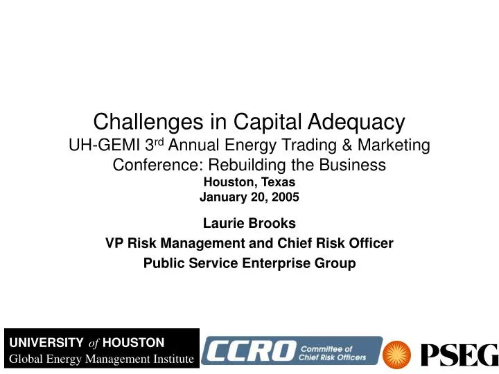 laurie brooks vp risk management and chief risk officer public service enterprise group