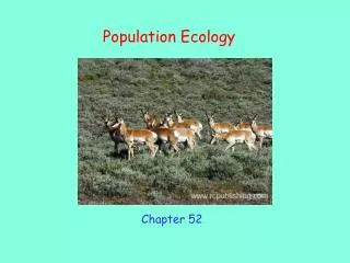 Population Ecology