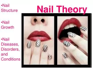 Nail Theory