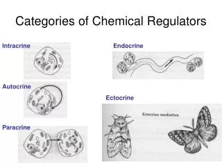 Categories of Chemical Regulators