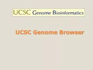 UCSC Genome Browser