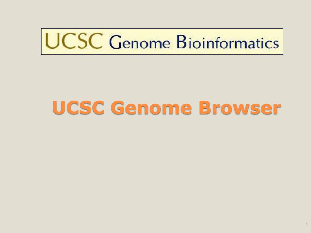 PPT - UCSC Genome Browser PowerPoint Presentation, free download - ID ...