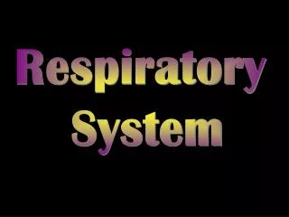 Respiratory System