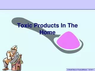 Toxic Products In The Home