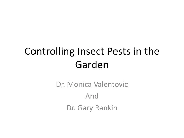 controlling insect pests in the garden