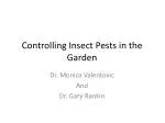 Controlling Insect Pests in the Garden
