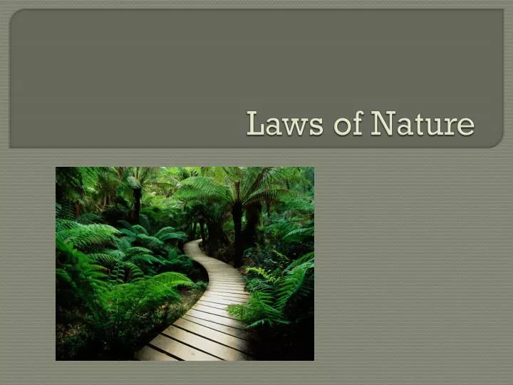 laws of nature