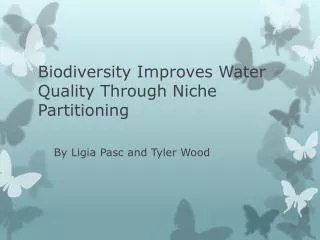 Biodiversity Improves Water Quality Through Niche Partitioning