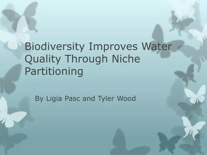 biodiversity improves water quality through niche partitioning