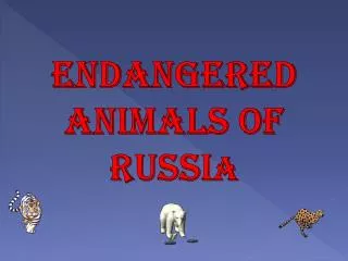 Endangered Animals of Russi a