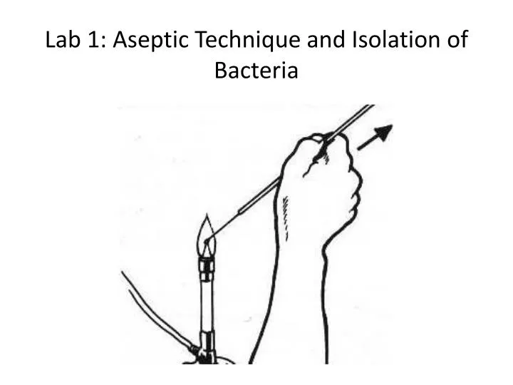 lab 1 aseptic technique and isolation of bacteria