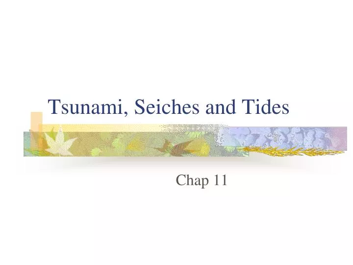 tsunami seiches and tides