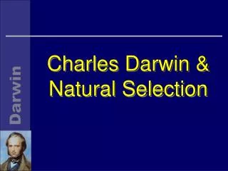 Charles Darwin &amp; Natural Selection
