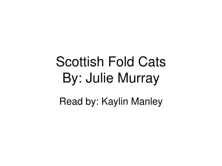 scottish fold cats by julie murray