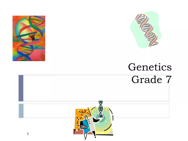 genetics grade 7