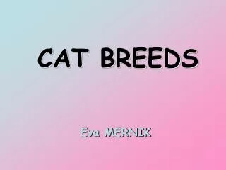 CAT BREEDS
