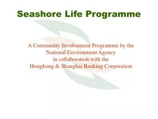 Seashore Life Programme