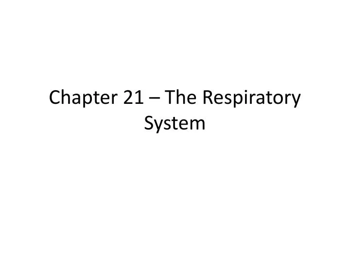 chapter 21 the respiratory system