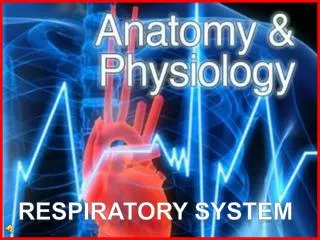 Respiratory system