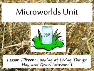 Microworlds Unit